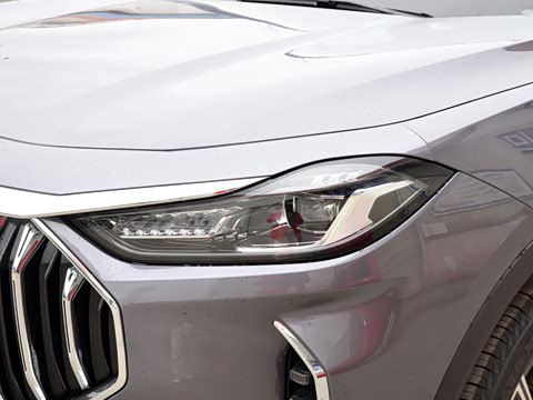 2025款 冠军版 1.5T DCT冠军PRO 5座 2025款 冠军版 1.5T DCT冠军PRO 5座