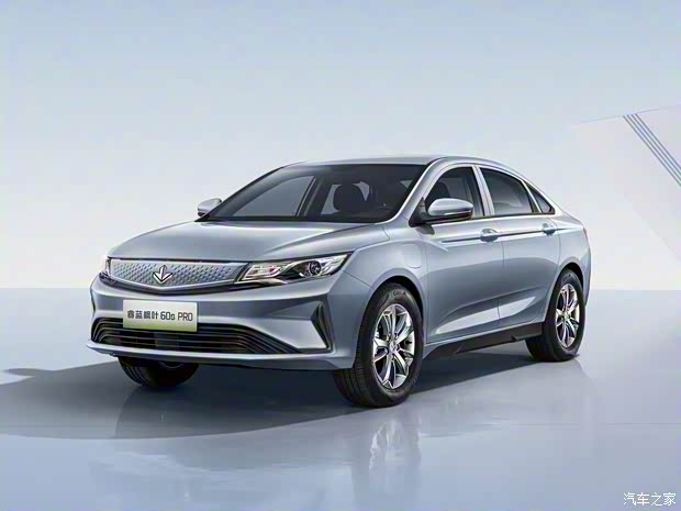 睿藍(lán)汽車 楓葉60S 2023款 Pro