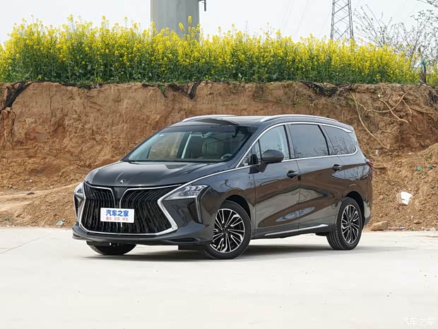 东风风行 风行·游艇 2022款 尊享型