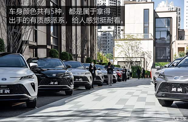 广汽丰田 威飒 2022款 双擎 2.5L CVT四驱至尊版