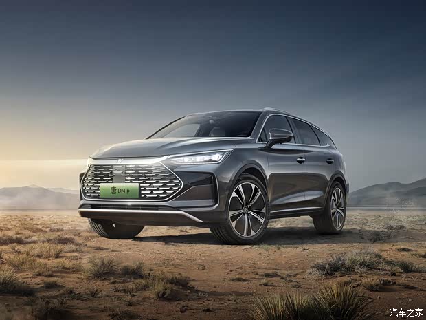 比亚迪 唐新能源 2022款 DM-p 215KM 四驱尊贵型