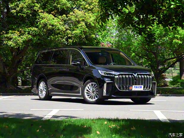 嵐圖汽車 夢(mèng)想家 2022款 低碳版 夢(mèng)+智享包