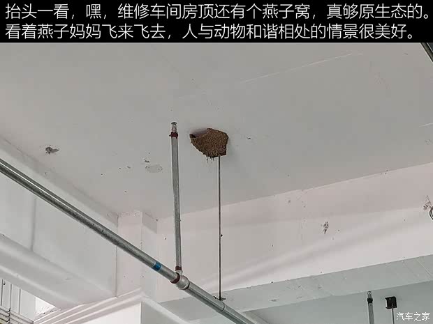 广汽乘用车 传祺M6 2019款 270T 自动尊荣版（六座）国V