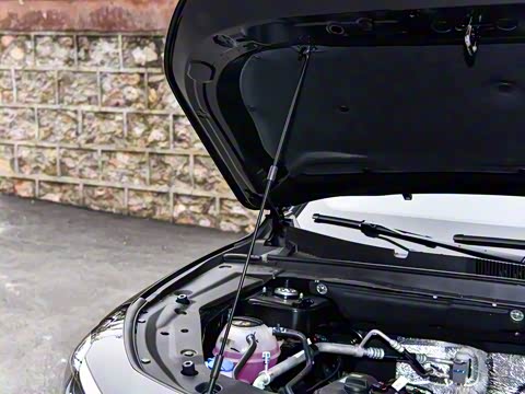 2025款 冠军版 1.5T DCT冠军PRO 7座 2025款 冠军版 1.5T DCT冠军PRO 7座