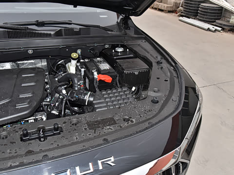 2025款 冠军版 1.5T DCT冠军MAX+ 5座 2025款 冠军版 1.5T DCT冠军MAX+ 5座