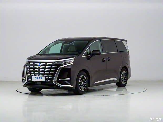 騰勢(shì)汽車(chē) 騰勢(shì)D9 2024款 PIONEER 四座創(chuàng)領(lǐng)版