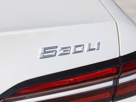 2025款 530Li 领先型 M运动套装 2025款 530Li 领先型 M运动套装