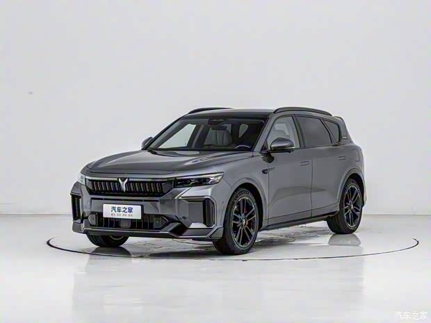 嵐圖汽車 嵐圖FREE 2025款 318