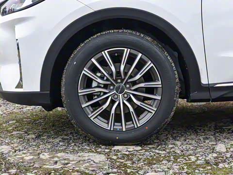 2025款 冠军版 1.5T DCT冠军MAX 5座 2025款 冠军版 1.5T DCT冠军MAX 5座