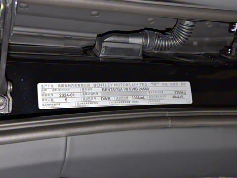 2024款 4.0T V8 长轴距版 2024款 4.0T V8 长轴距版