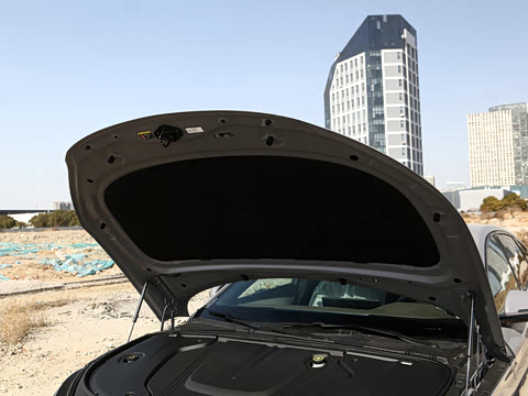 2025款 EV 智驾版 506KM尊贵型 2025款 EV 智驾版 506KM尊贵型