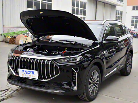 2025款 冠军版 1.5T DCT冠军PRO 5座 2025款 冠军版 1.5T DCT冠军PRO 5座