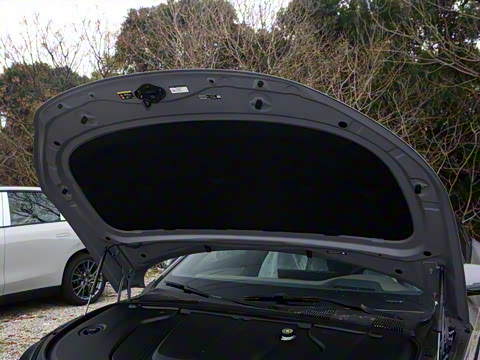 2025款 EV 智驾版 701KM尊荣型 2025款 EV 智驾版 701KM尊荣型