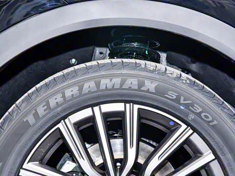 2025款 冠军版 1.5T DCT冠军PRO 7座 2025款 冠军版 1.5T DCT冠军PRO 7座