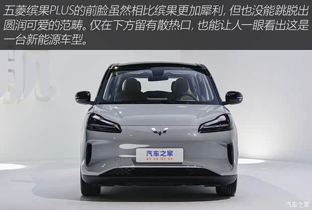 上汽通用五菱 五菱繽果Plus 2024款 510km 高配版