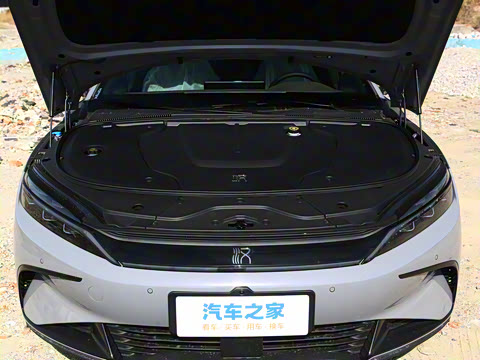 2025款 EV 智驾版 506KM尊贵型 2025款 EV 智驾版 506KM尊贵型