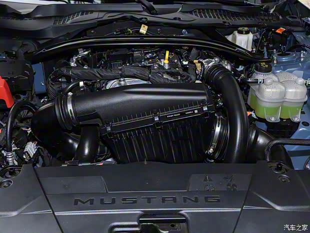 福特(进口) Mustang 2024款 2.3L EcoBoost 硬顶性能版 
