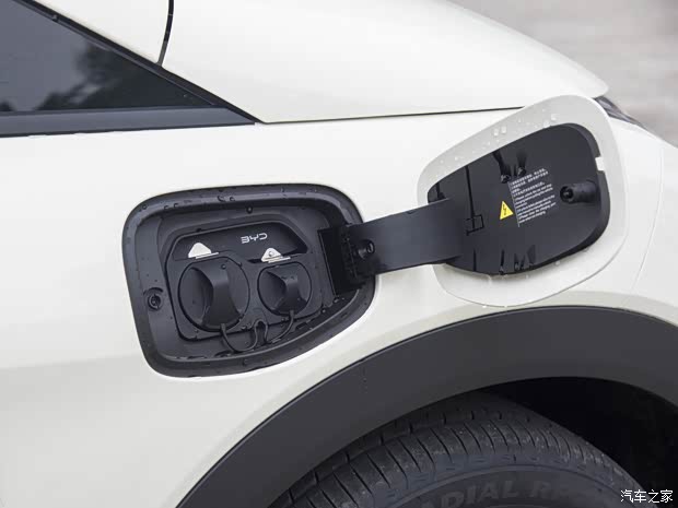 比亞迪 海豚 2024款 冠軍版 420km 時(shí)尚版