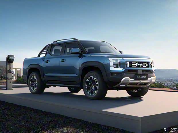 比亞迪 BYD SHARK 2024款 基本型