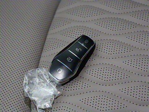 2025款 EV 智驾版 701KM激光雷达尊享型 2025款 EV 智驾版 701KM激光雷达尊享型