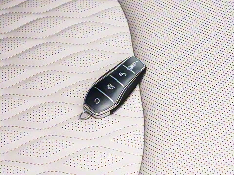 2025款 EV 智驾版 605KM尊荣型 2025款 EV 智驾版 605KM尊荣型