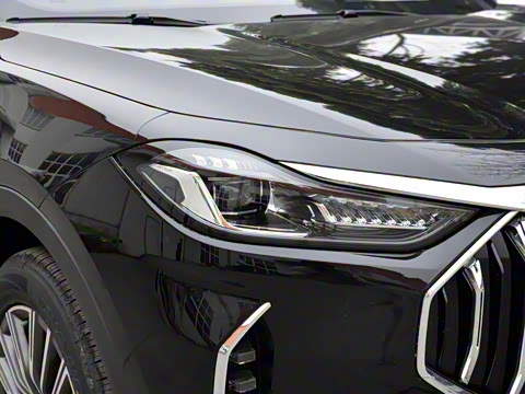 2025款 冠军版 1.5T DCT冠军PRO 5座 2025款 冠军版 1.5T DCT冠军PRO 5座