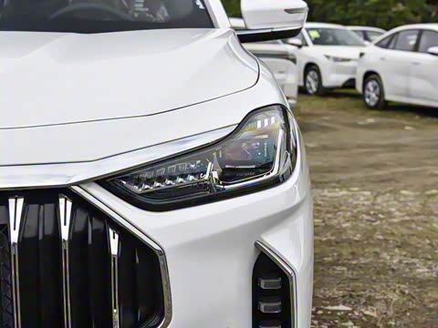 2025款 冠军版 1.5T DCT冠军MAX 5座 2025款 冠军版 1.5T DCT冠军MAX 5座