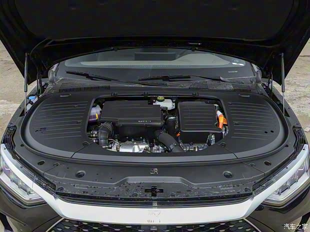 比亞迪 漢 2024款 DM-i 121KM 尊貴型