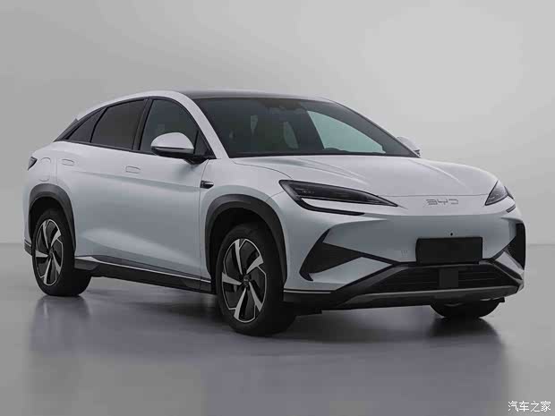 比亞迪 海獅07 2024款 230kw單電機(jī)