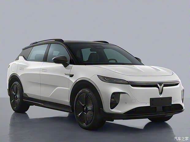 岚图汽车 岚图知音 2024款 单电机高功率 磷酸铁锂