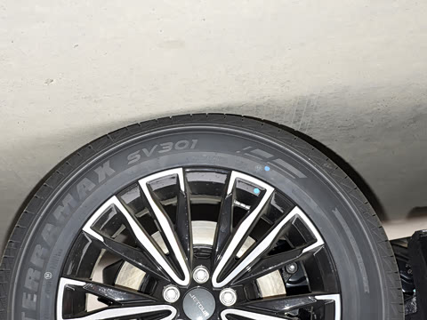 2025款 冠军版 1.5T 手动冠军 7座 2025款 冠军版 1.5T 手动冠军 7座