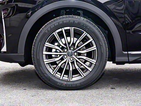 2025款 冠军版 1.5T DCT冠军PRO 7座 2025款 冠军版 1.5T DCT冠军PRO 7座