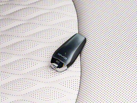 2025款 EV 智驾版 605KM尊荣型 2025款 EV 智驾版 605KM尊荣型