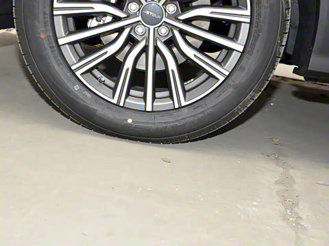 2025款 冠军版 1.5T DCT冠军PRO 5座 2025款 冠军版 1.5T DCT冠军PRO 5座