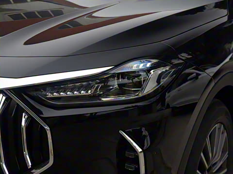 2025款 冠军版 1.5T DCT冠军PRO 5座 2025款 冠军版 1.5T DCT冠军PRO 5座