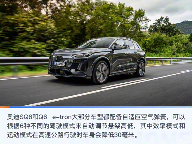 奧迪(進(jìn)口) 奧迪SQ6 e-tron 2024款 基本型