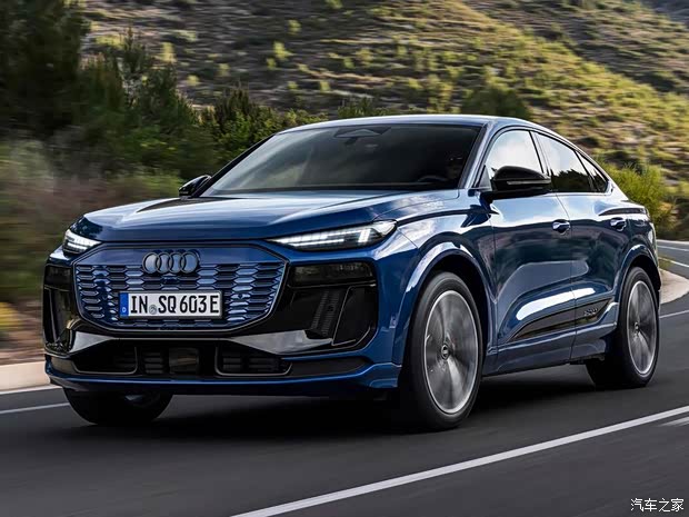 奧迪(進口) 奧迪Q6 e-tron(海外) 2025款 Sportback