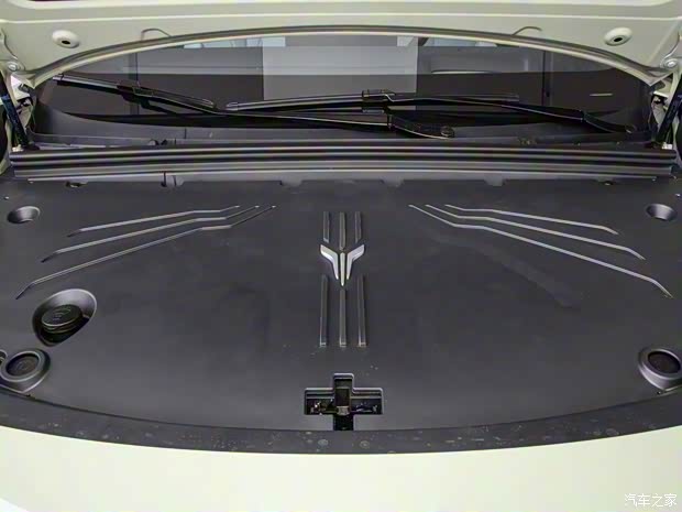 岚图汽车 岚图知音 2024款 单电机高功率 三元锂 岚图汽车 岚图知音 2024款 单电机高功率 三元锂