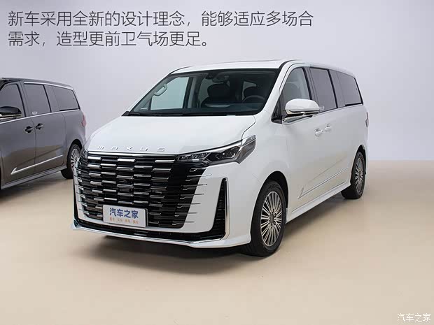 上汽大通 大通G10 2025款 MAX 2.0T 自動(dòng)旗艦版 汽油 7座