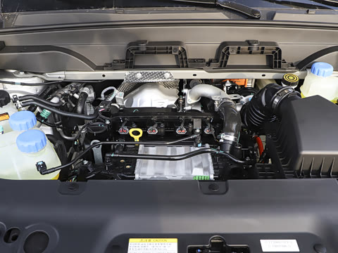 2025款 210Max增程版 5座 2025款 210Max增程版 5座