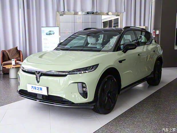 岚图汽车 岚图知音 2024款 单电机高功率 三元锂 岚图汽车 岚图知音 2024款 单电机高功率 三元锂