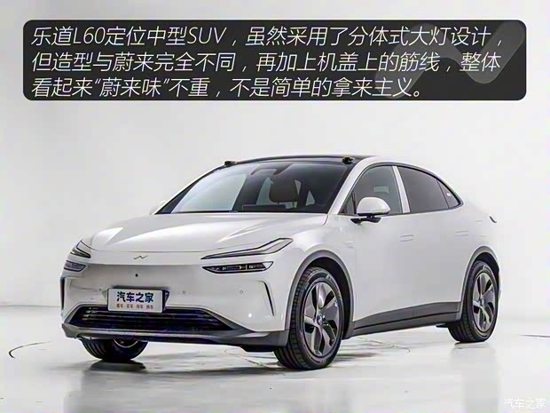 蔚來 樂道L60 2024款 標(biāo)準(zhǔn)續(xù)航版