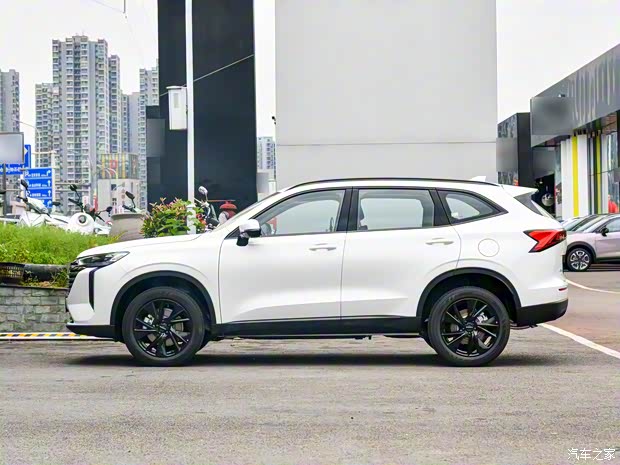 长城汽车 哈弗H6 2024款 2.0T 两驱Max 长城汽车 哈弗H6 2024款 2.0T 两驱Max