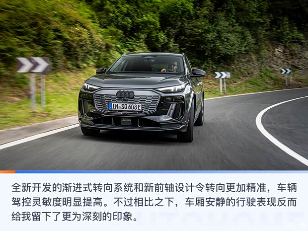 奧迪(進(jìn)口) 奧迪SQ6 e-tron 2024款 基本型