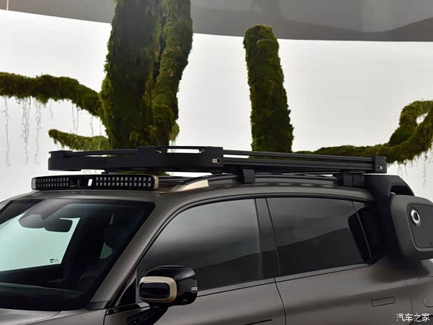 smart smart精靈#5 2024款 叢林之境首發(fā)版