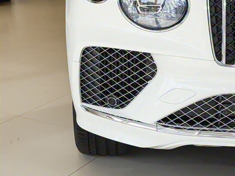 2024款 4.0T V8 雅度版 2024款 4.0T V8 雅度版