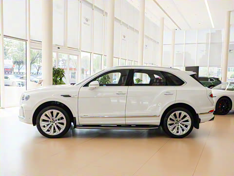 2024款 4.0T V8 雅度版 2024款 4.0T V8 雅度版