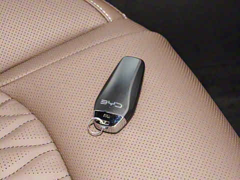 2025款 DM-i 智驾版 245KM尊荣型 2025款 DM-i 智驾版 245KM尊荣型