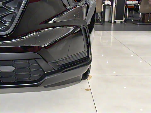 2026款 全球30年荣耀款 240TURBO 两驱锋尚7座版 2026款 全球30年荣耀款 240TURBO 两驱锋尚7座版