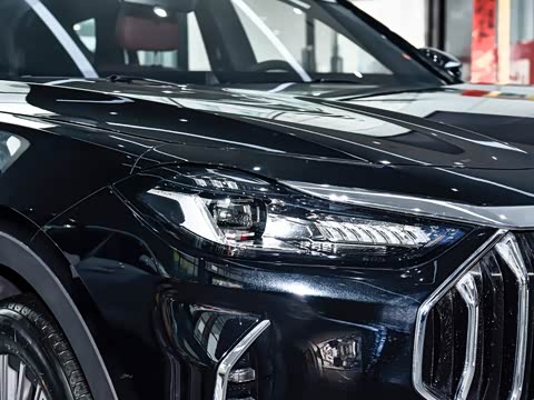 2026款 冠军版 1.5T DCT豪华+ 7座 2026款 冠军版 1.5T DCT豪华+ 7座